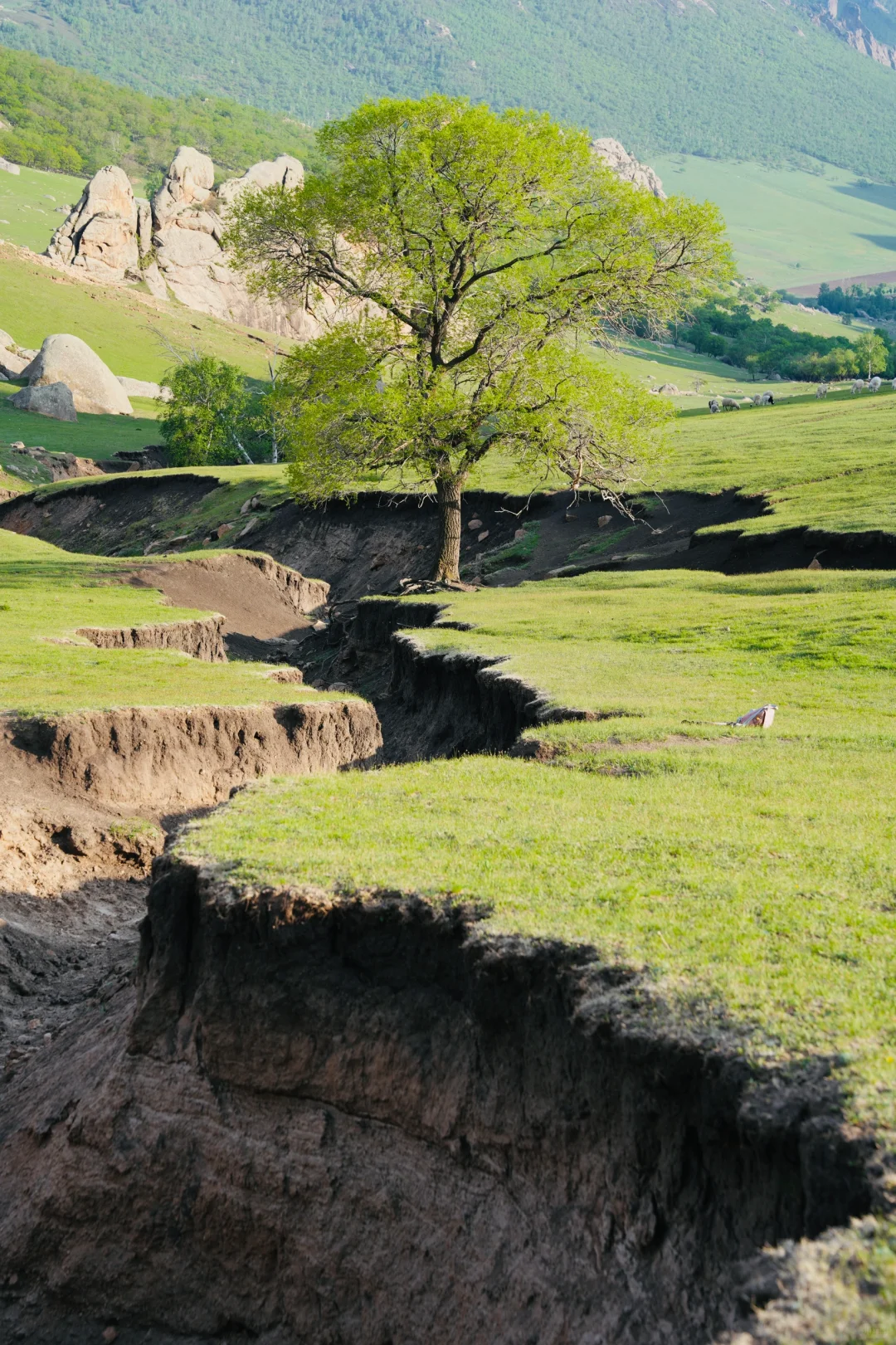 北京出发赤峰大青山两天一晚