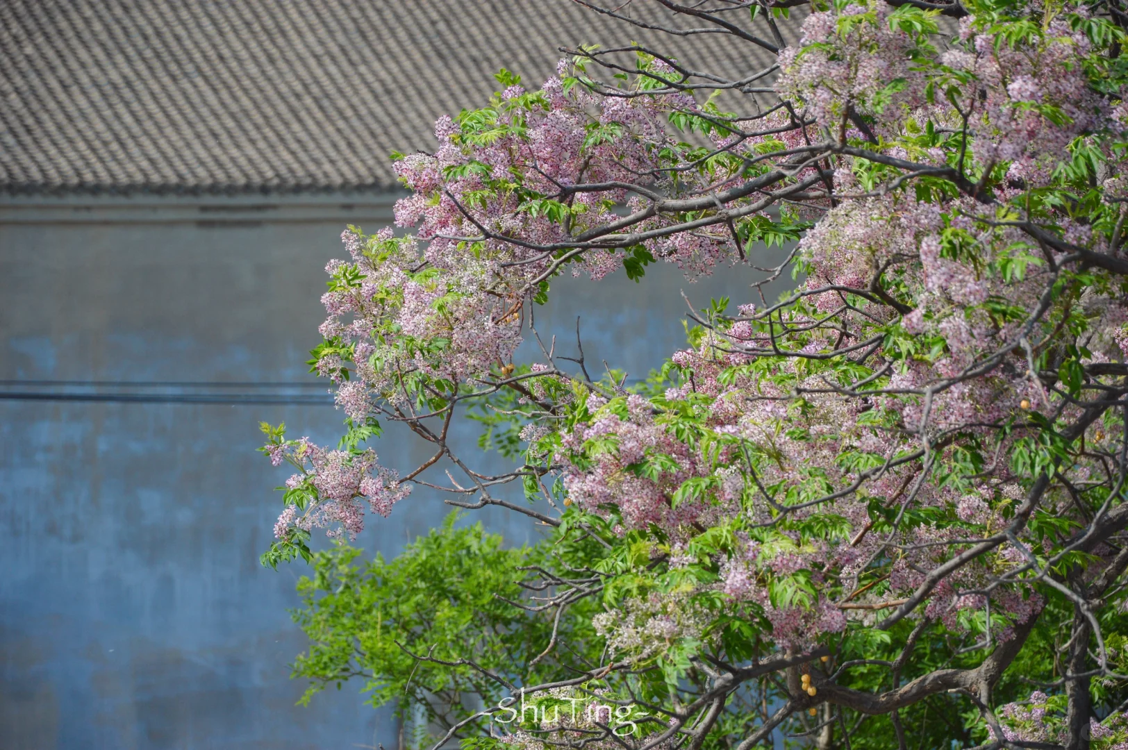 总要去趟邯郸广府古城吧✨超全攻略都在这啦