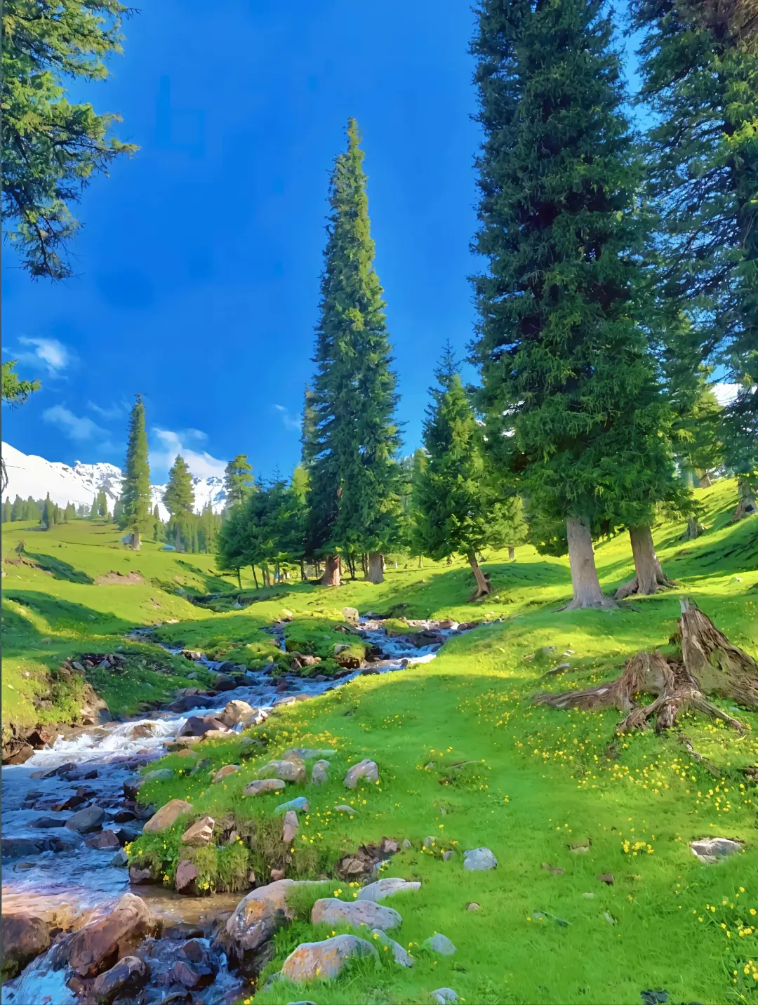 💥伊犁9大必去！美到窒息💯