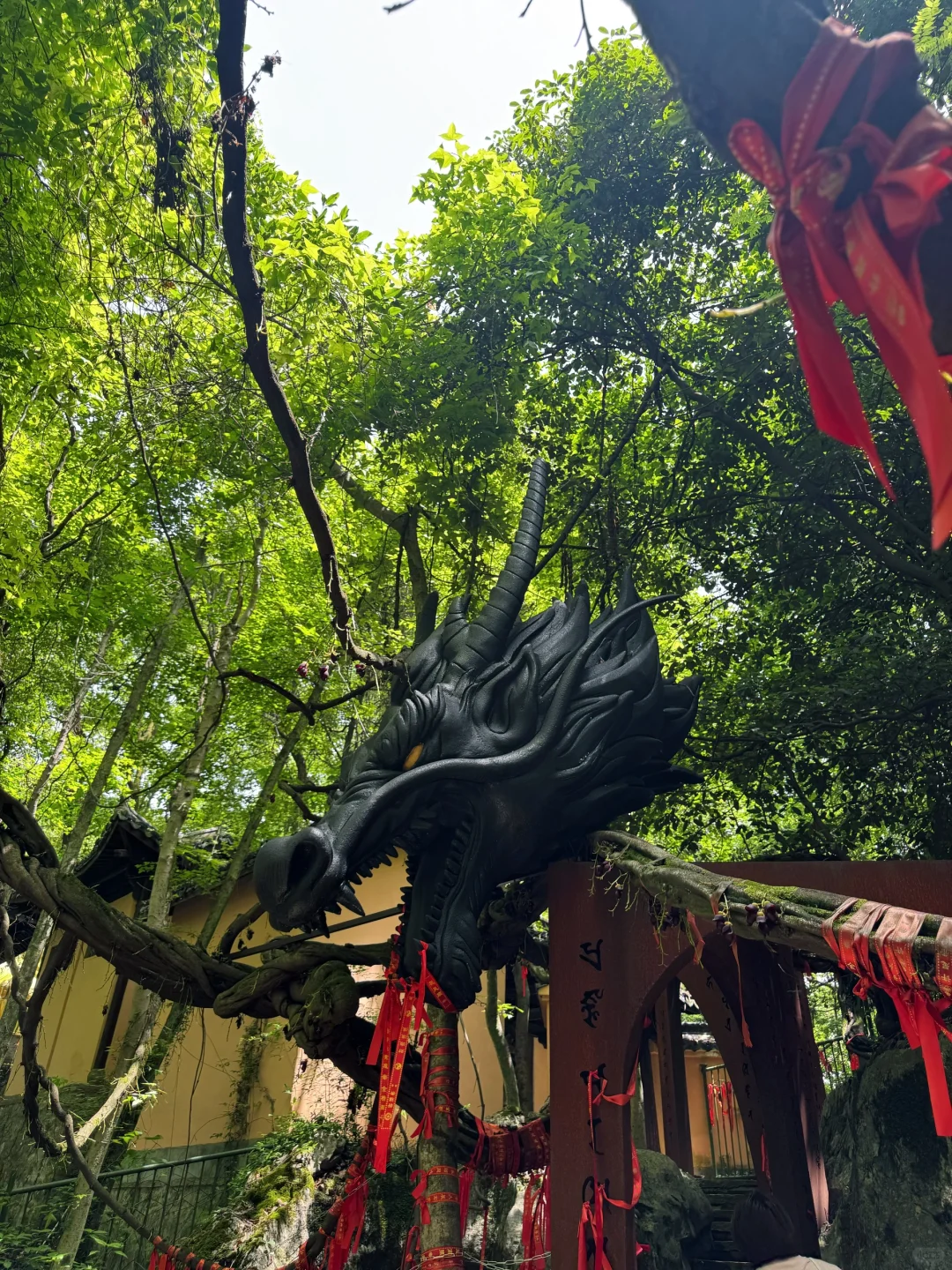 🌿杭州灵山·仙桥洞｜闯进现实版“绿野仙踪”！