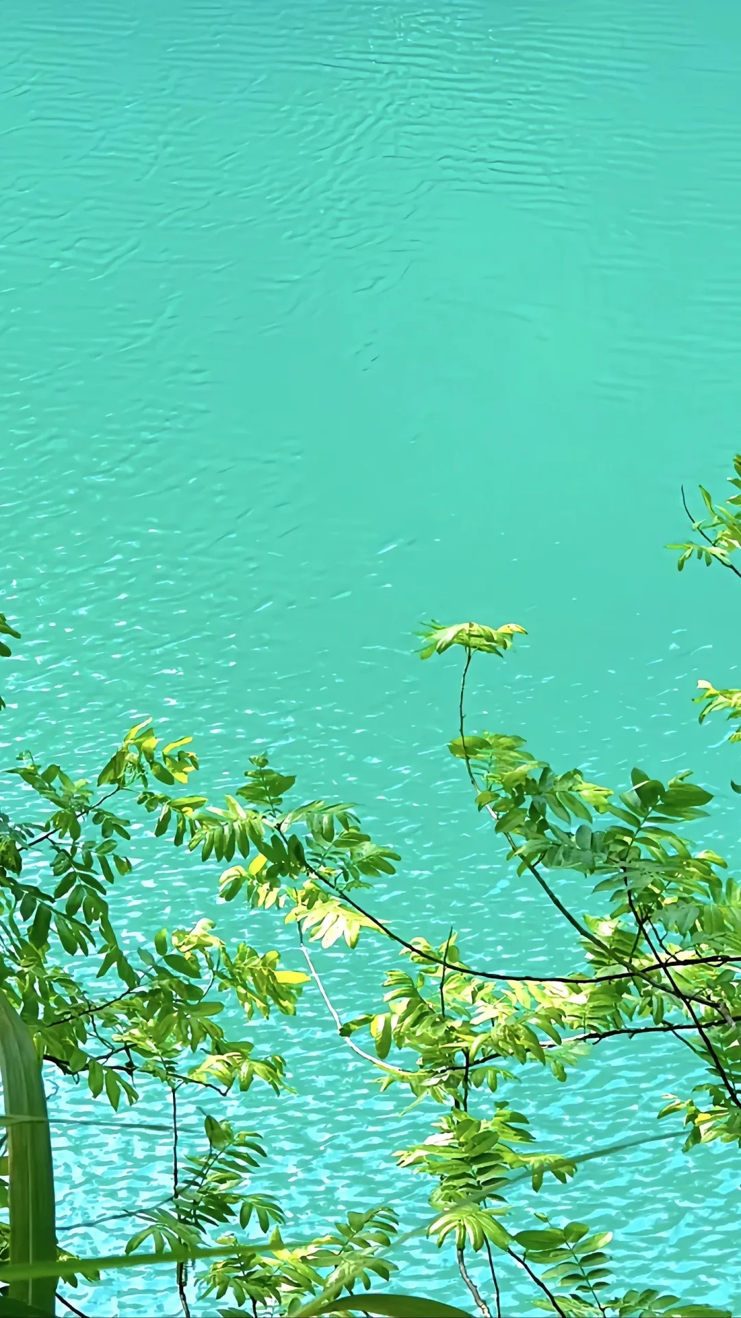 贵州已回，xhs广太多了！！！