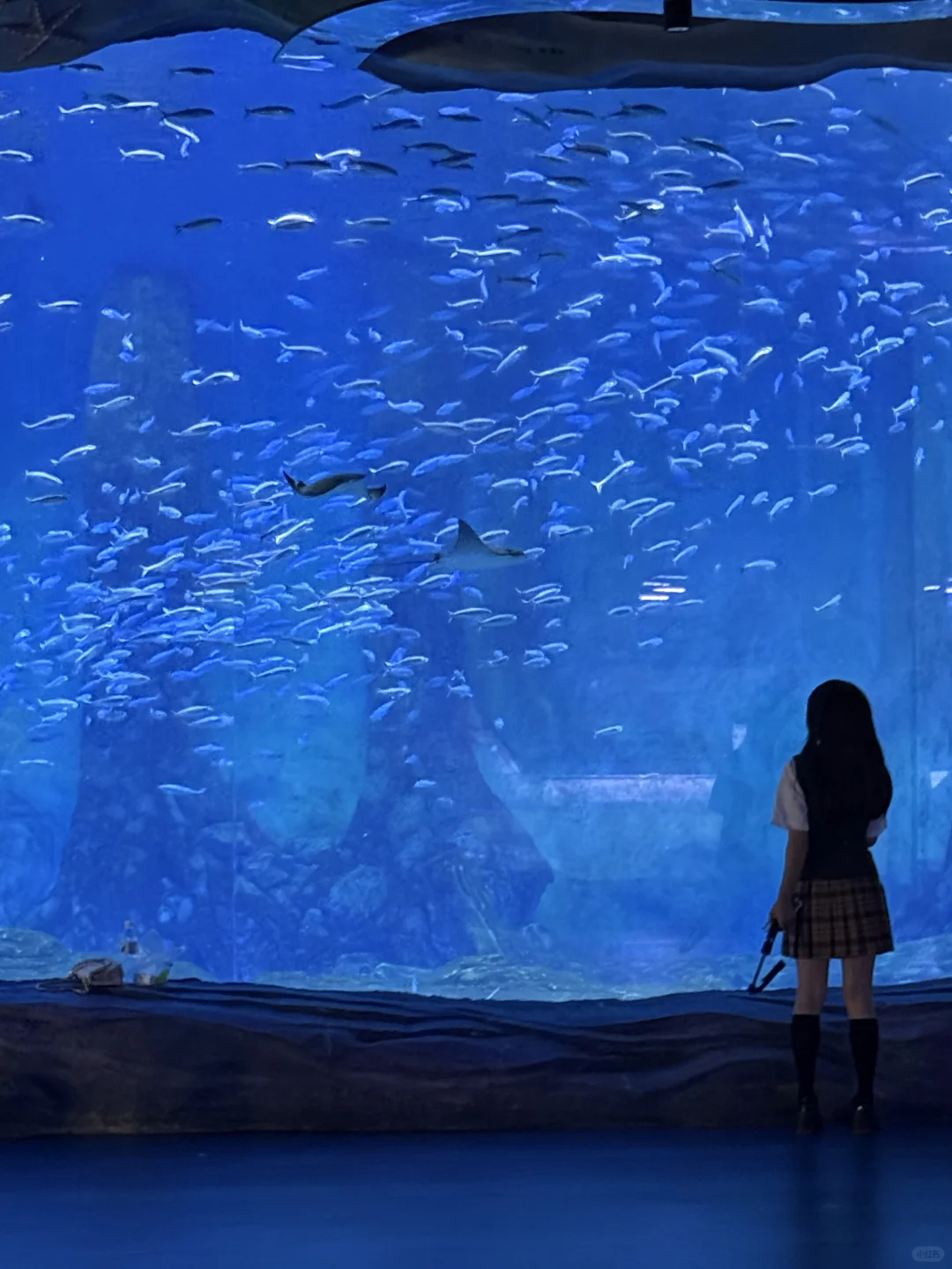 本以为橘子洲很美了，直到我来了这里……🥹