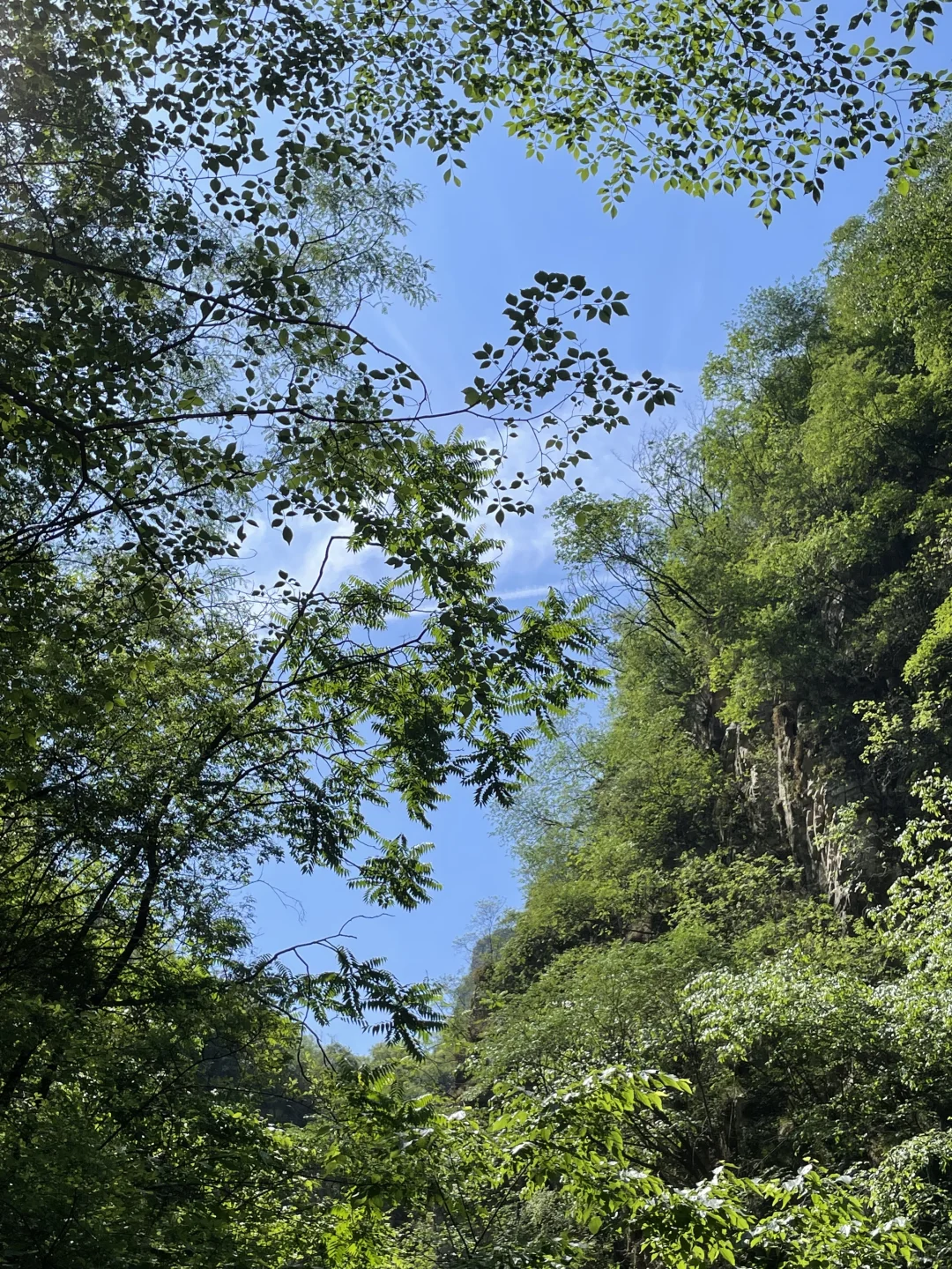 不是在四川‼️石家庄也有自己的九寨沟🌊