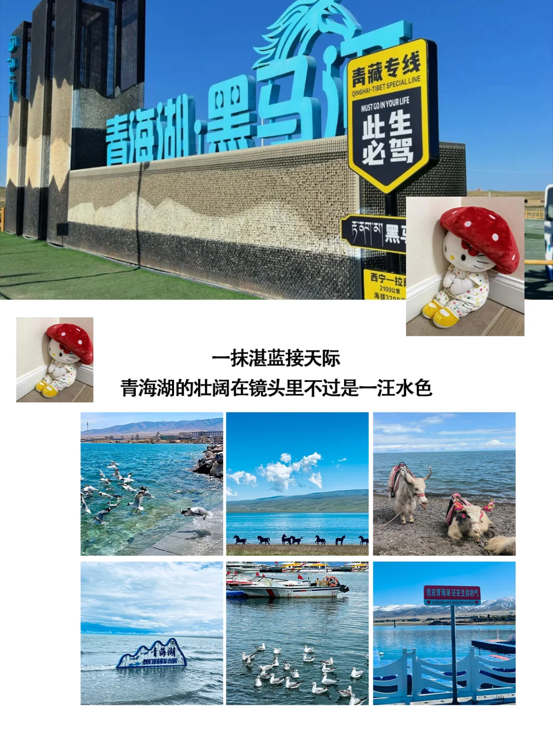 西北📍假期Citywalk 保姆级旅游攻略‼️