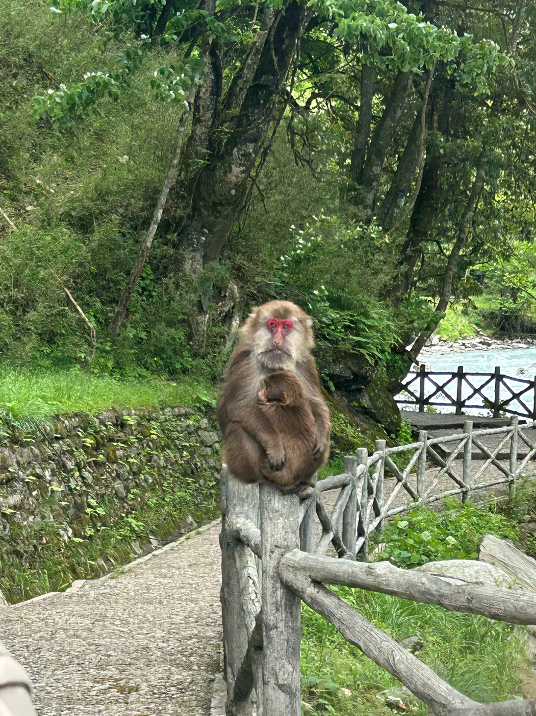 成都周边徒步|5.25实拍!喇叭河超美✅附攻略