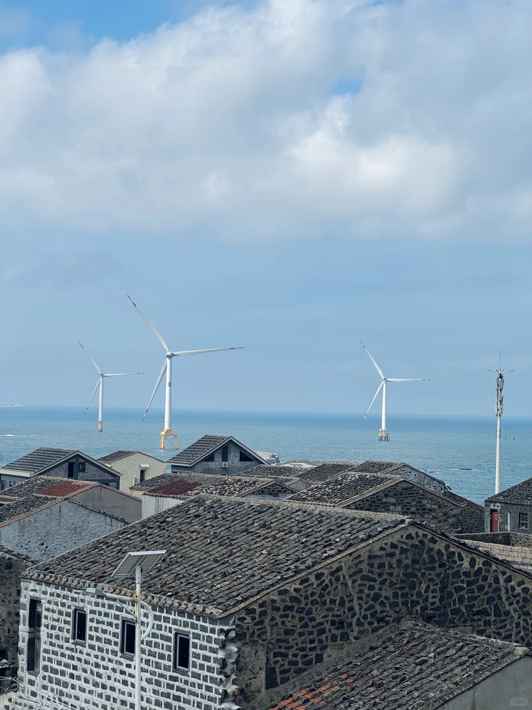 平潭，狗都不…