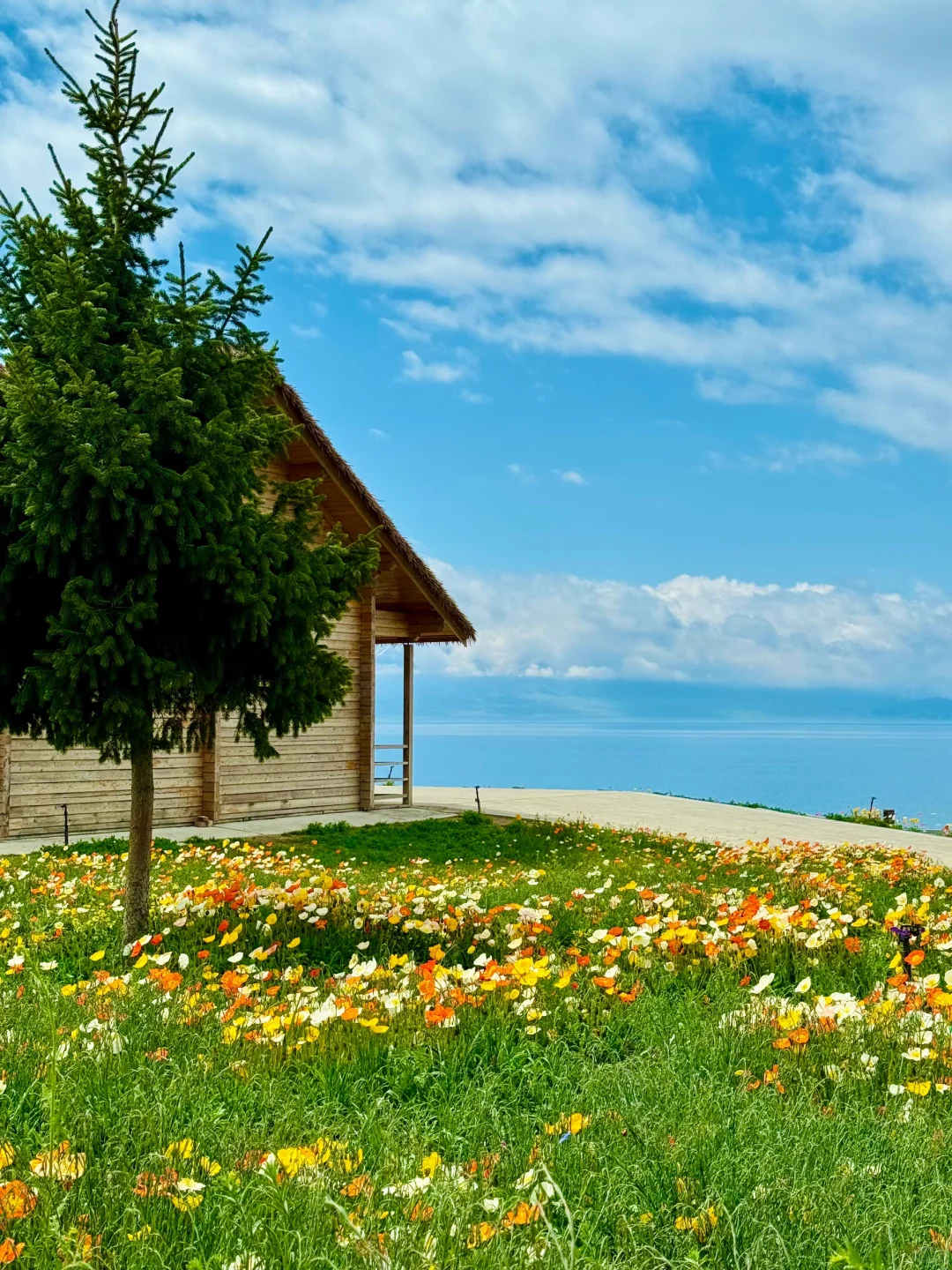 带闺蜜去了22℃的赛里木湖，真比新西兰震撼！