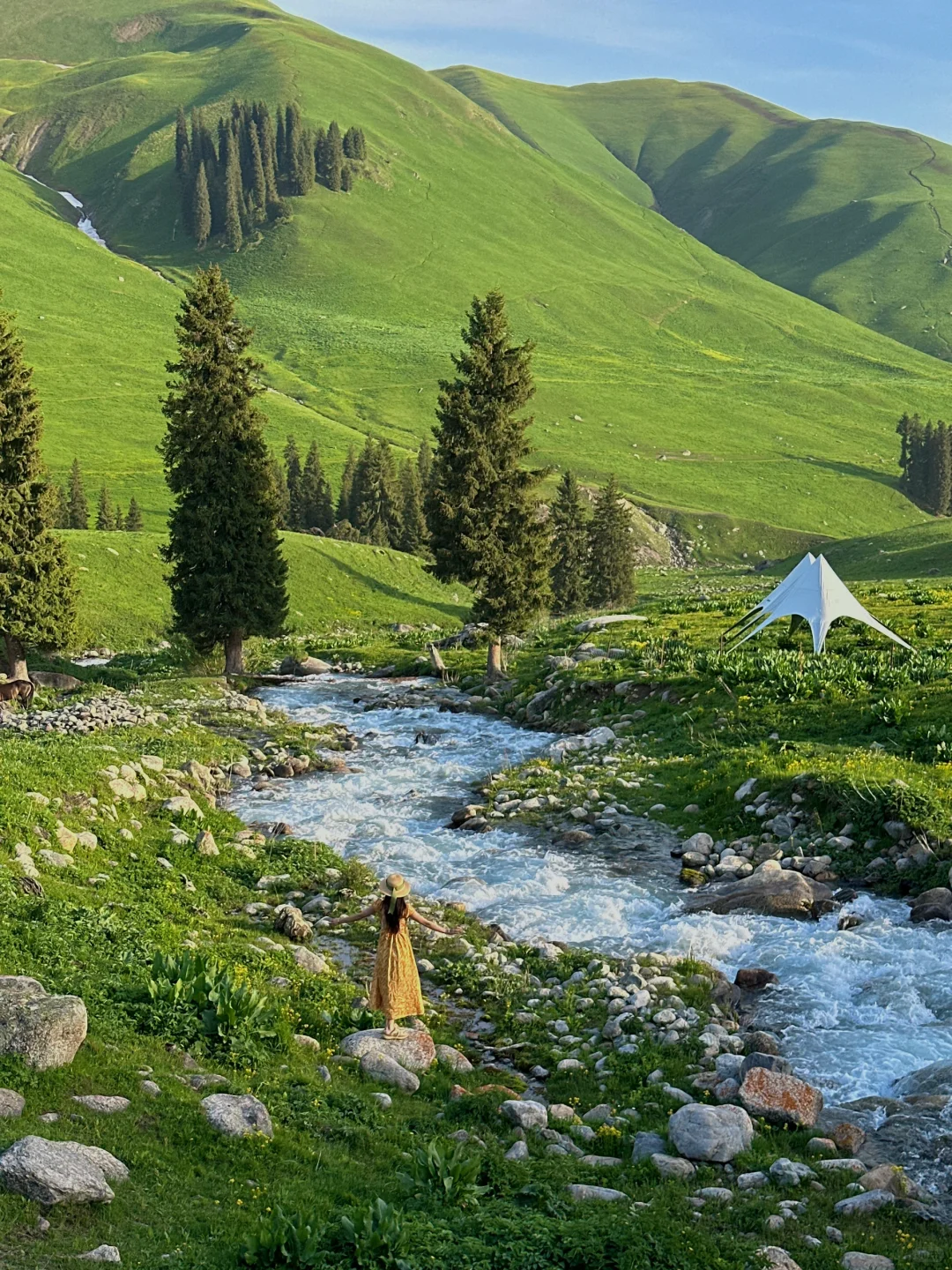 新疆live🌲，这里今年一定会爆火！