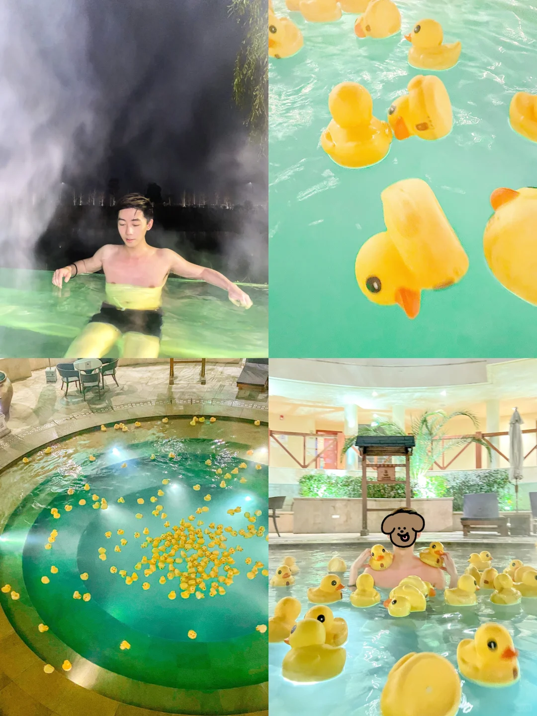 对我的端午节苏州攻略满意到睡不着觉……