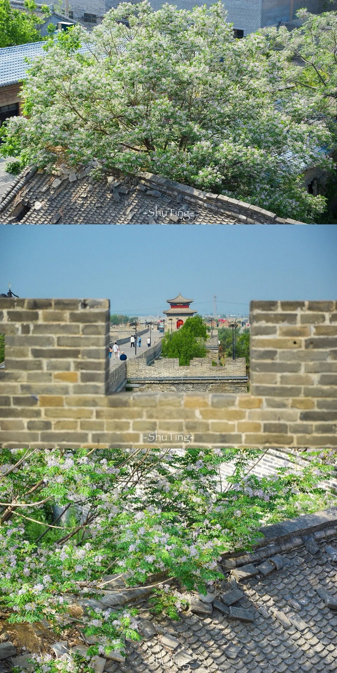 总要去趟邯郸广府古城吧✨超全攻略都在这啦