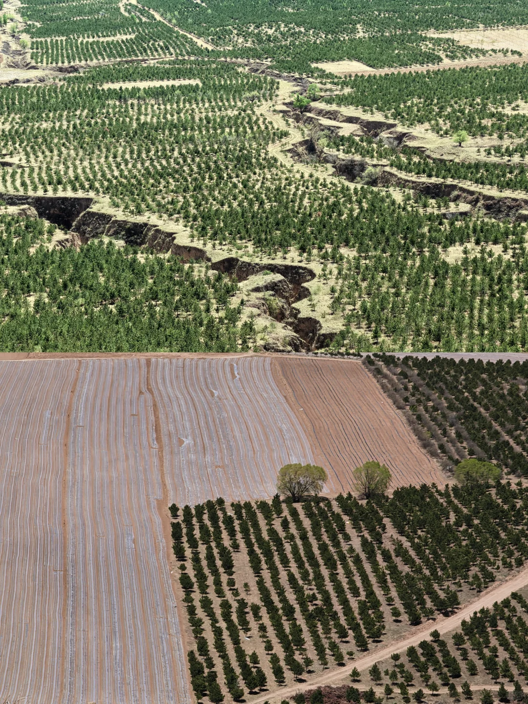 乌兰哈达VS大同火山地质公园！5维实测闭坑