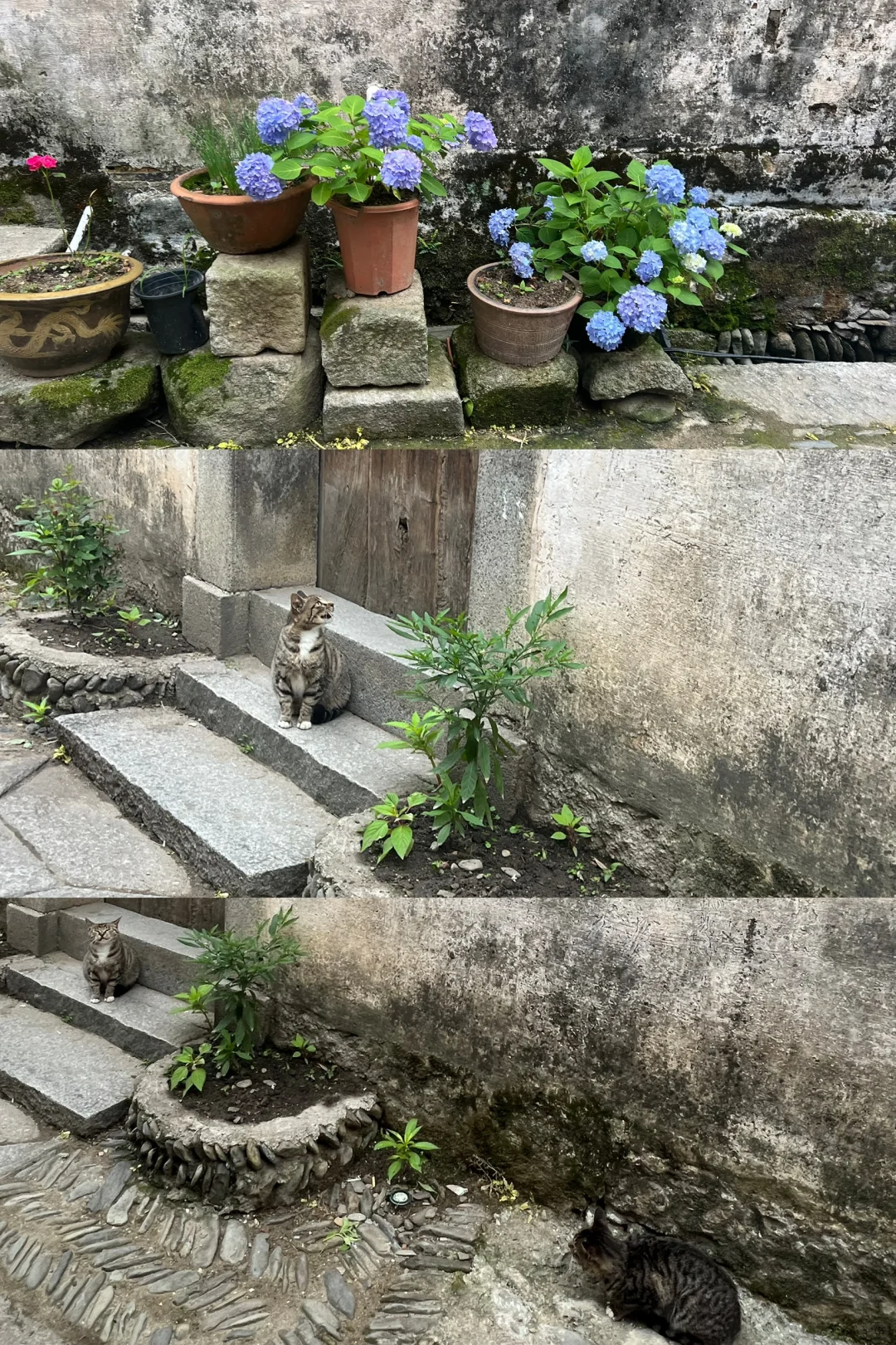 徽州不爬黄山大学生周末速逛版旅游攻略