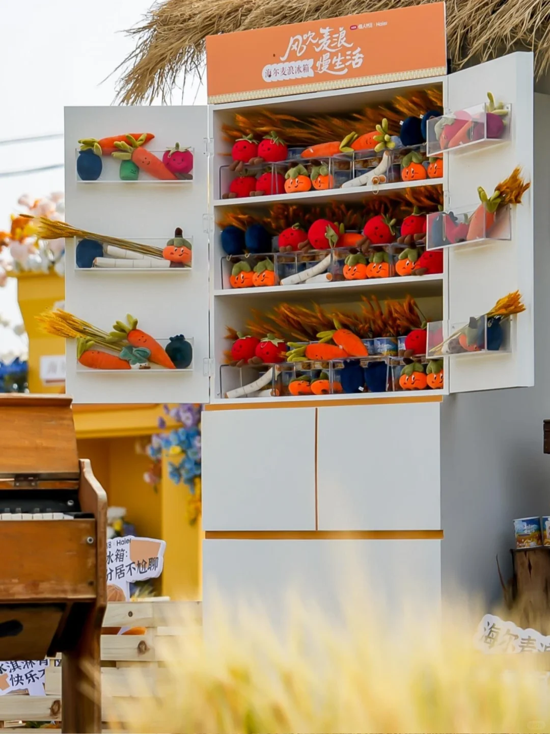 大理已回❗️真心提醒5~6月要去的姐妹们😓