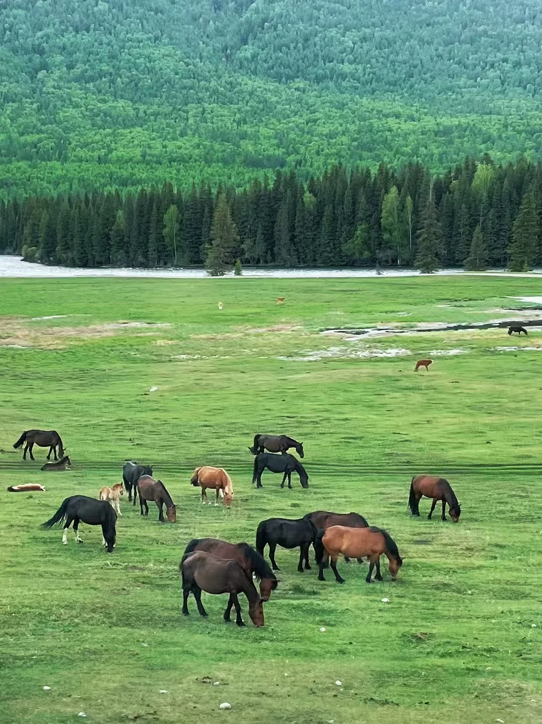 女生一人勇闯新疆旅游已回