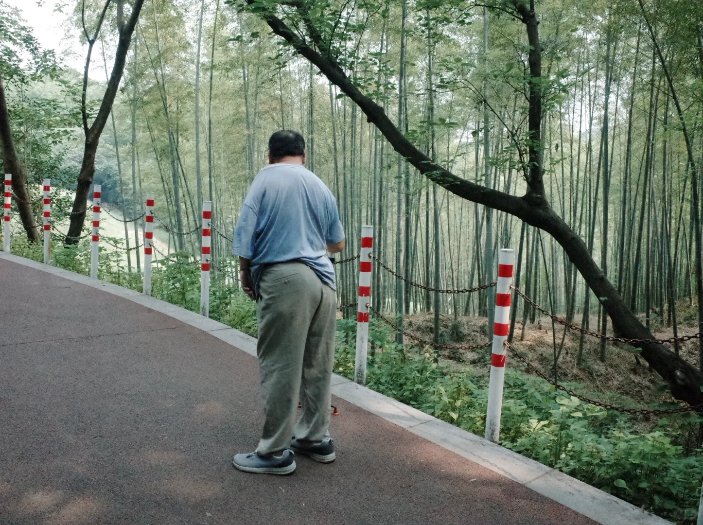 南京最喜欢的地方（之一