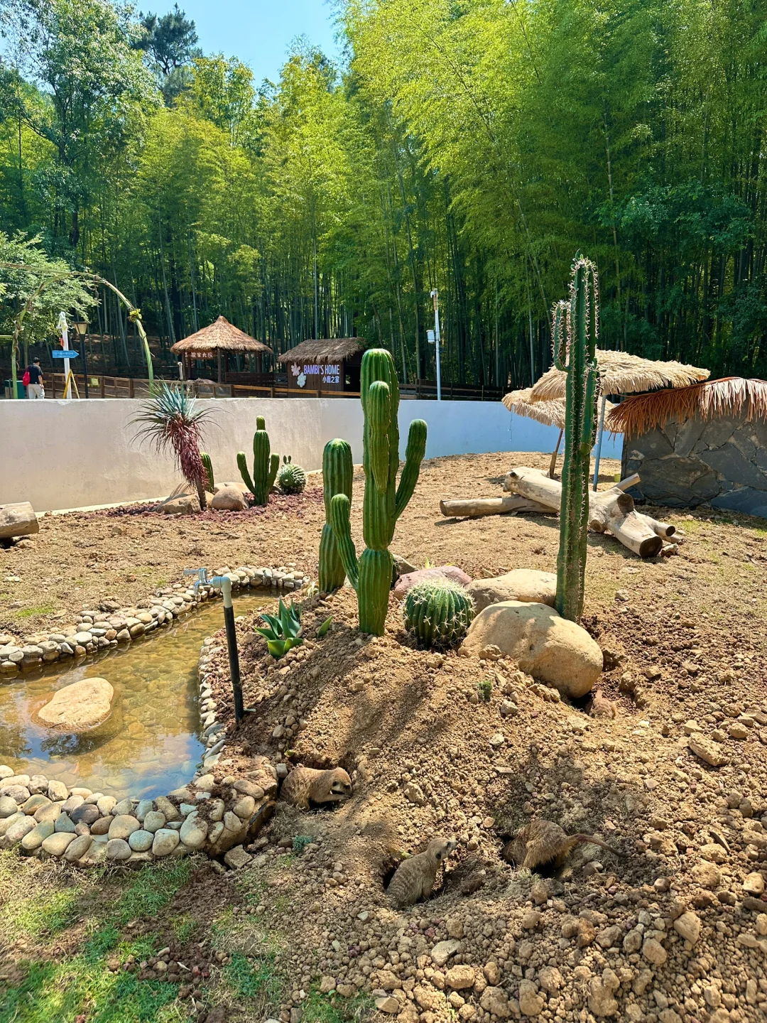 端午节王炸玩法!避开人从众的秘境被找到啦