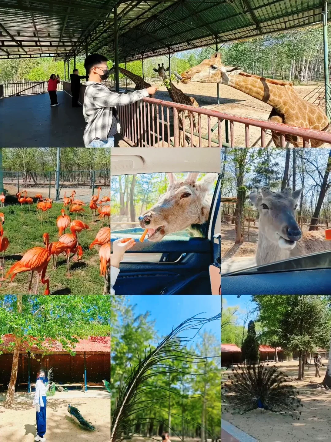 发朋友圈被问爆…真的不是济州岛