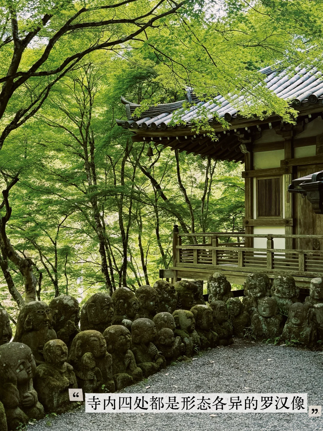 避开人潮！京都初夏绿径，高雄线徒步攻略