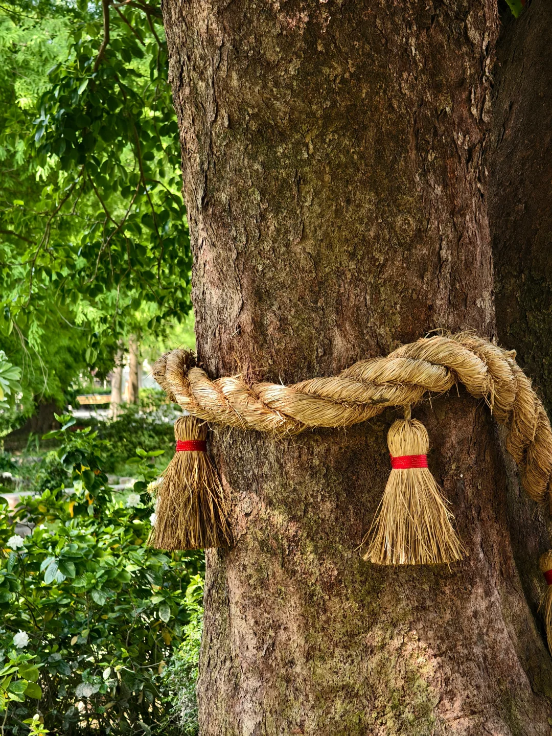 企鵝花絮 - 成美文化園B CUT