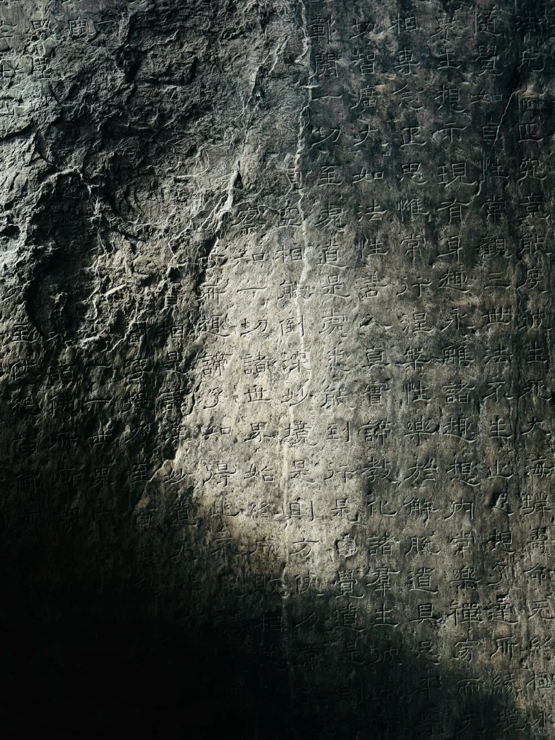 “仿佛看见南北朝的阳光照进现实”