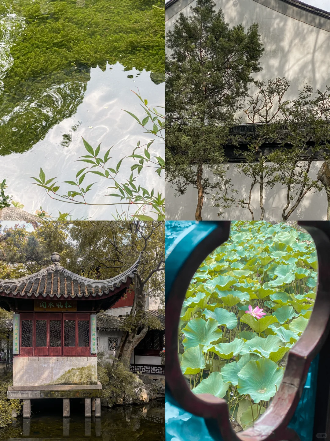 对我的端午节苏州攻略满意到睡不着觉……