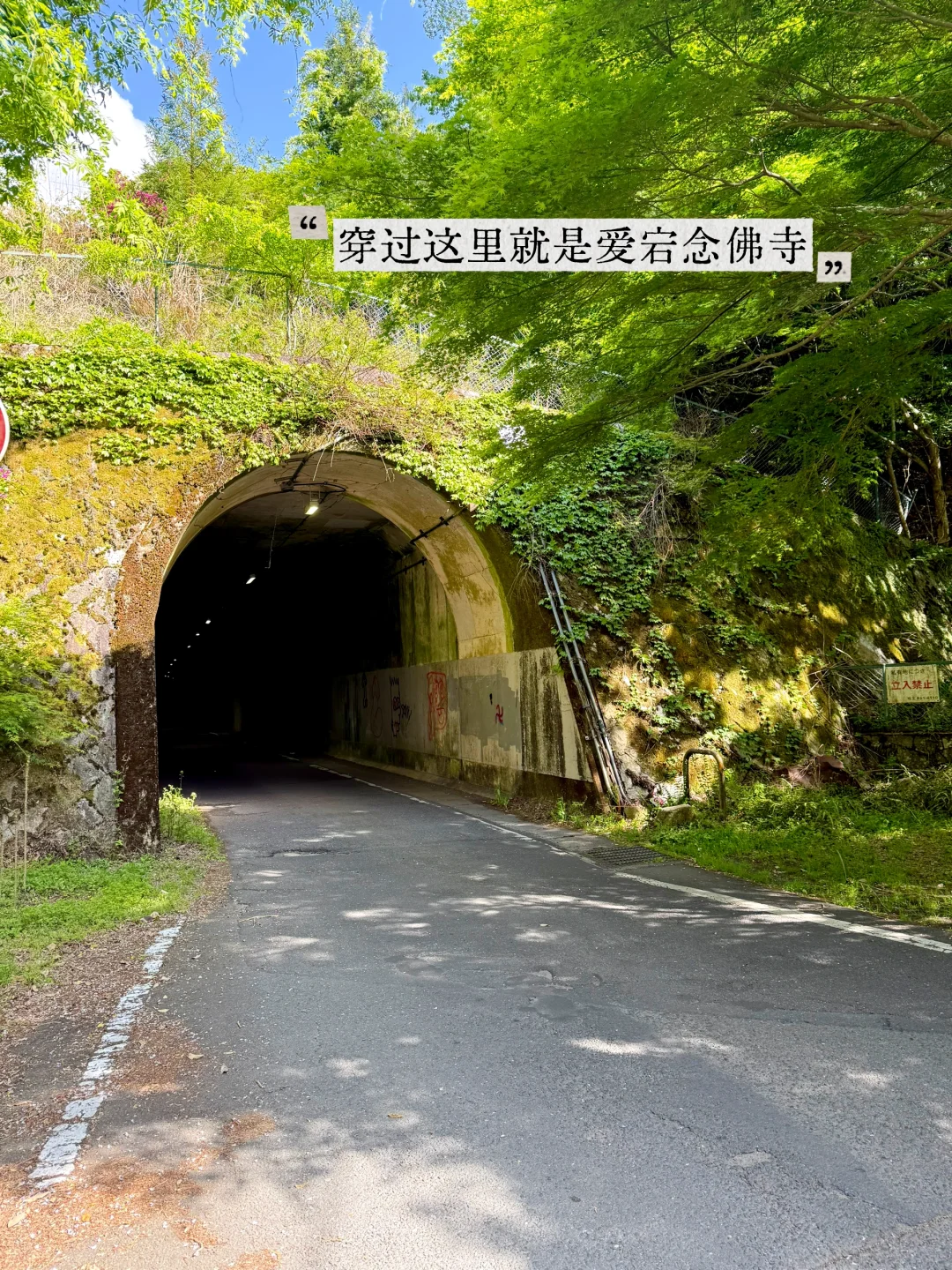 避开人潮！京都初夏绿径，高雄线徒步攻略