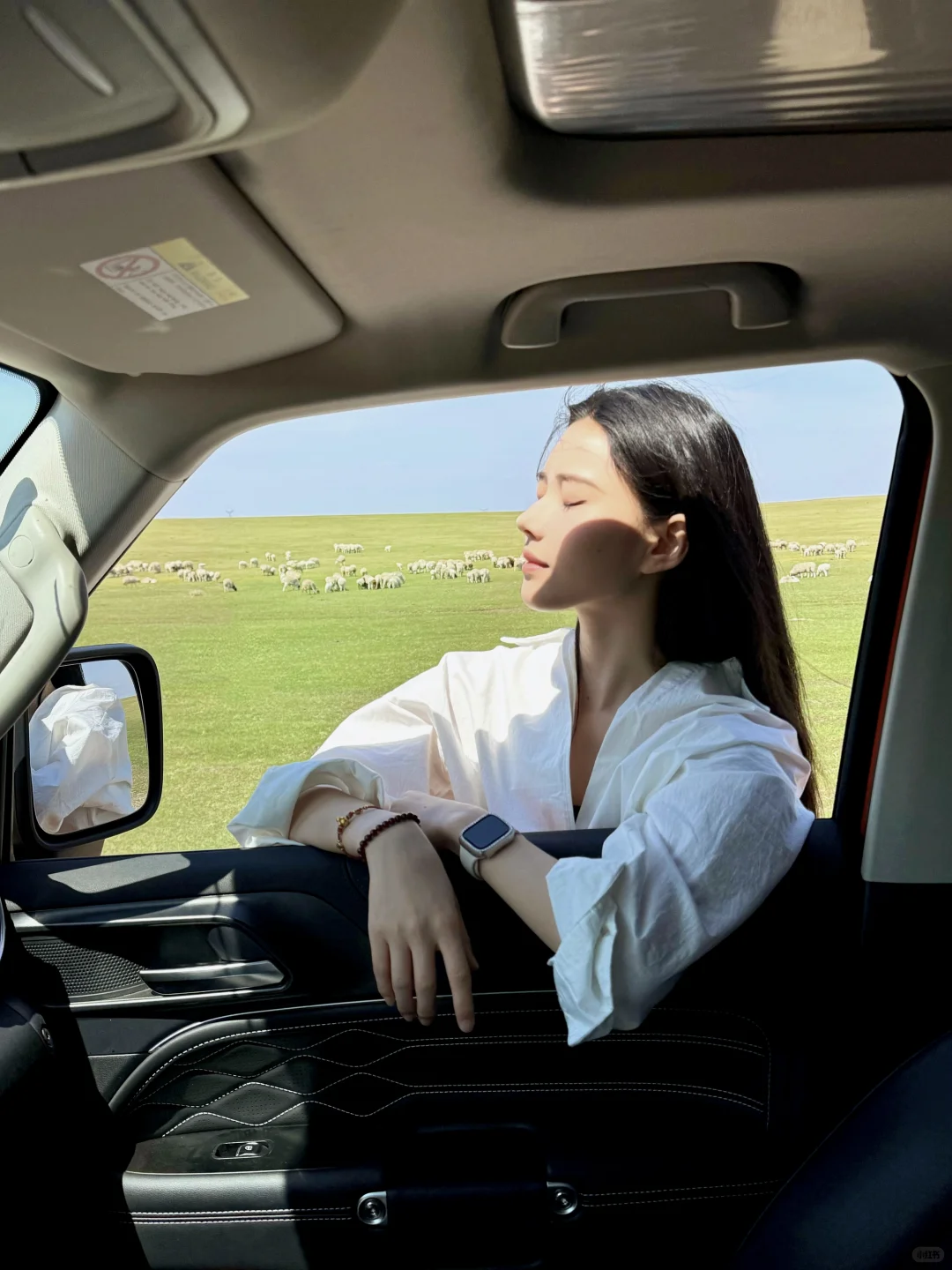 初夏的呼伦贝尔，美到失语！！！