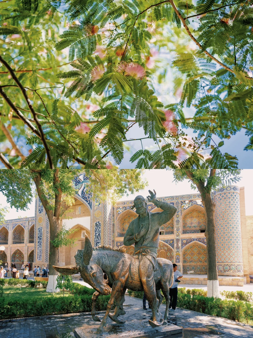 布哈拉💫走进孤独星球和一千零一夜的封面