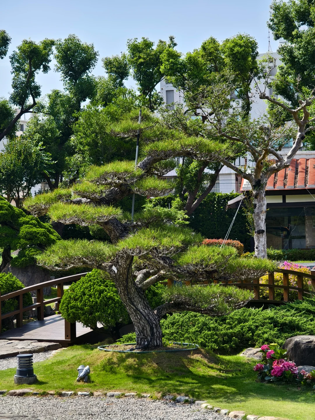 企鵝花絮 - 成美文化園B CUT