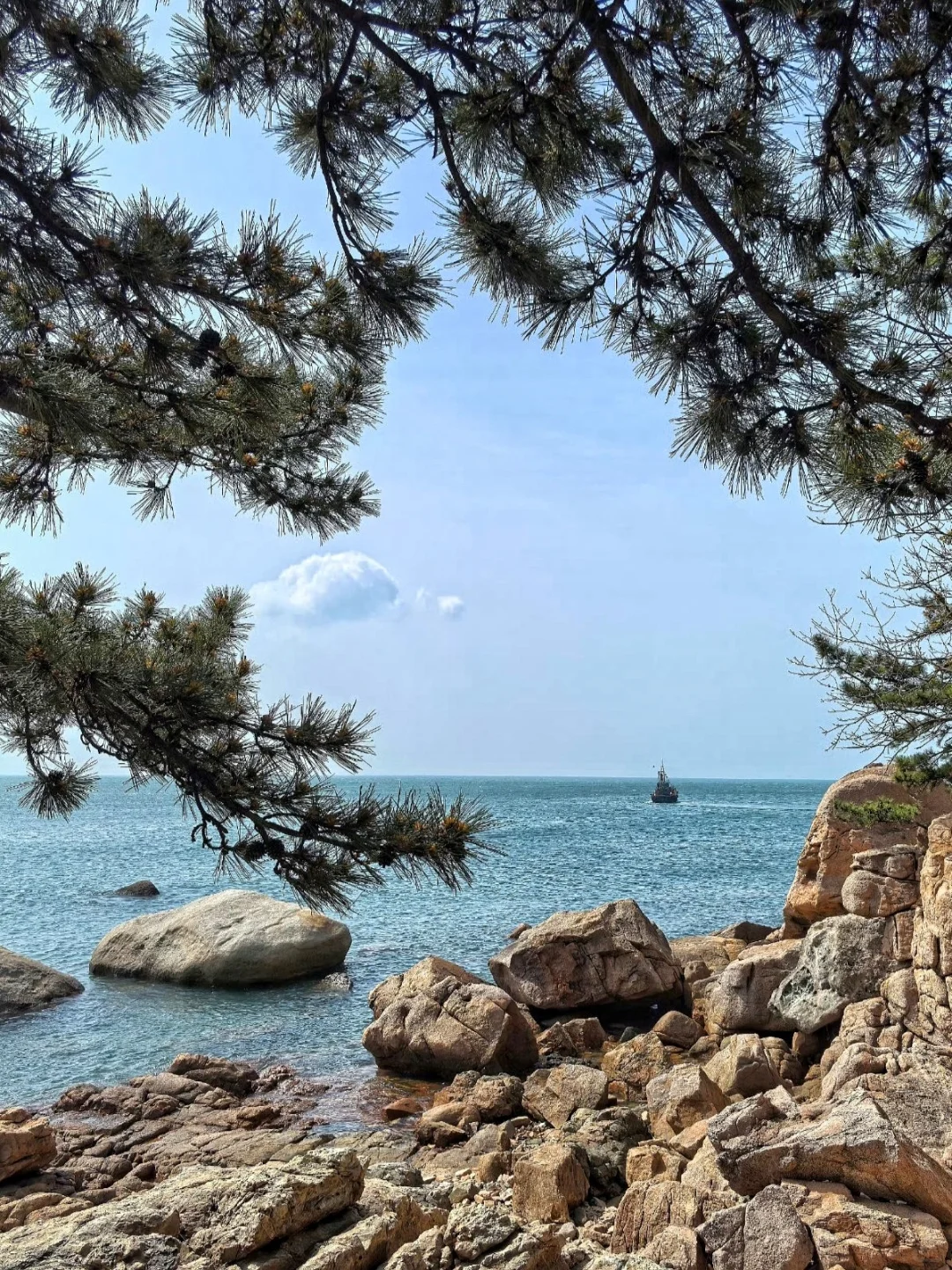 五一到青岛哈啤酒🍺吃蛤蜊🐚