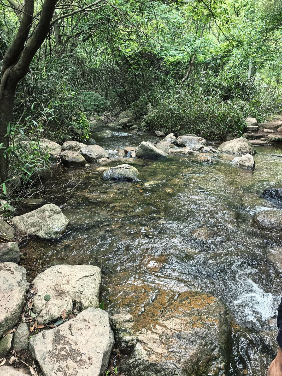 🍃宁波周末亲子徒步🌿第一站 福泉茶山