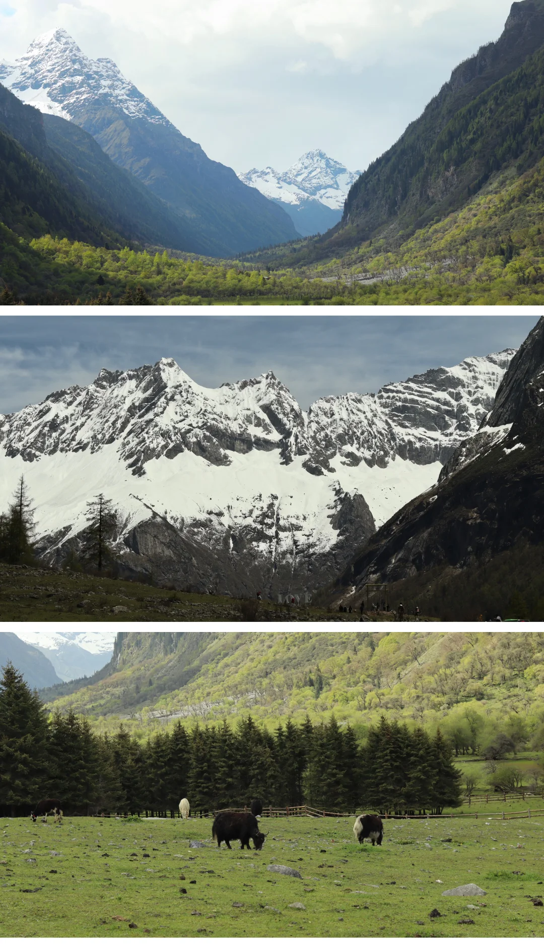 成都-四姑娘山-九寨沟不自驾不跟团攻略1⃣️