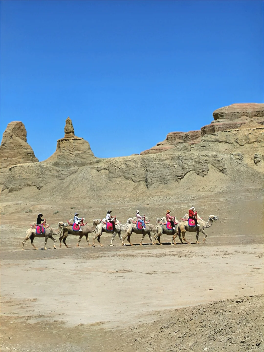 女生一人勇闯新疆旅游已回