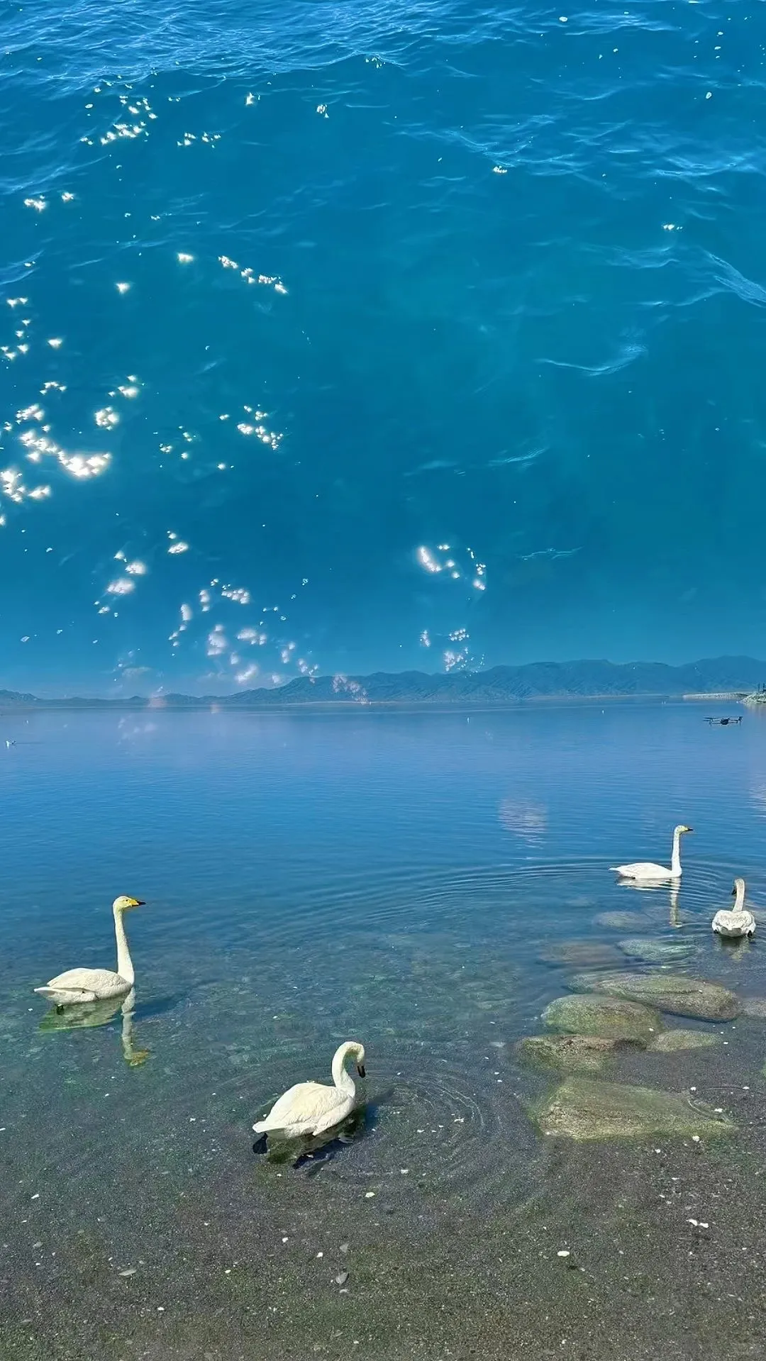 从新疆回来狠狠emo了😭,提醒6-7月要去的