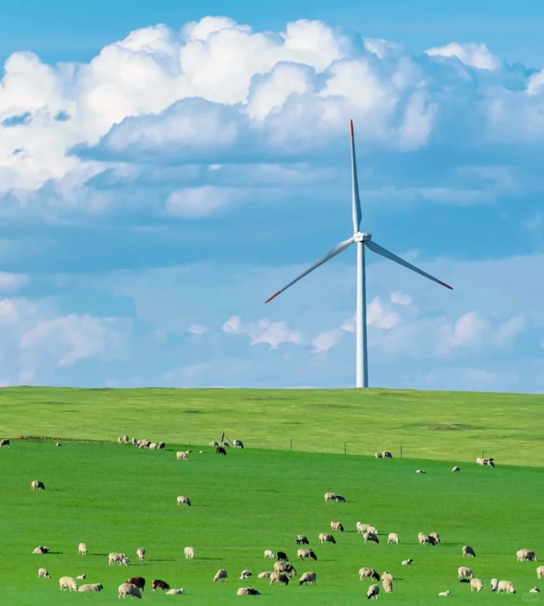 后悔没早来❗内蒙古这些景点才是旅行王炸