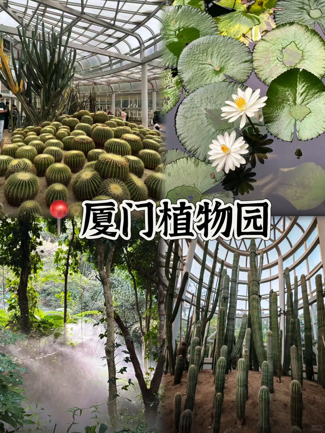 03女大📍厦门/三天二夜精华版旅游攻略‼️