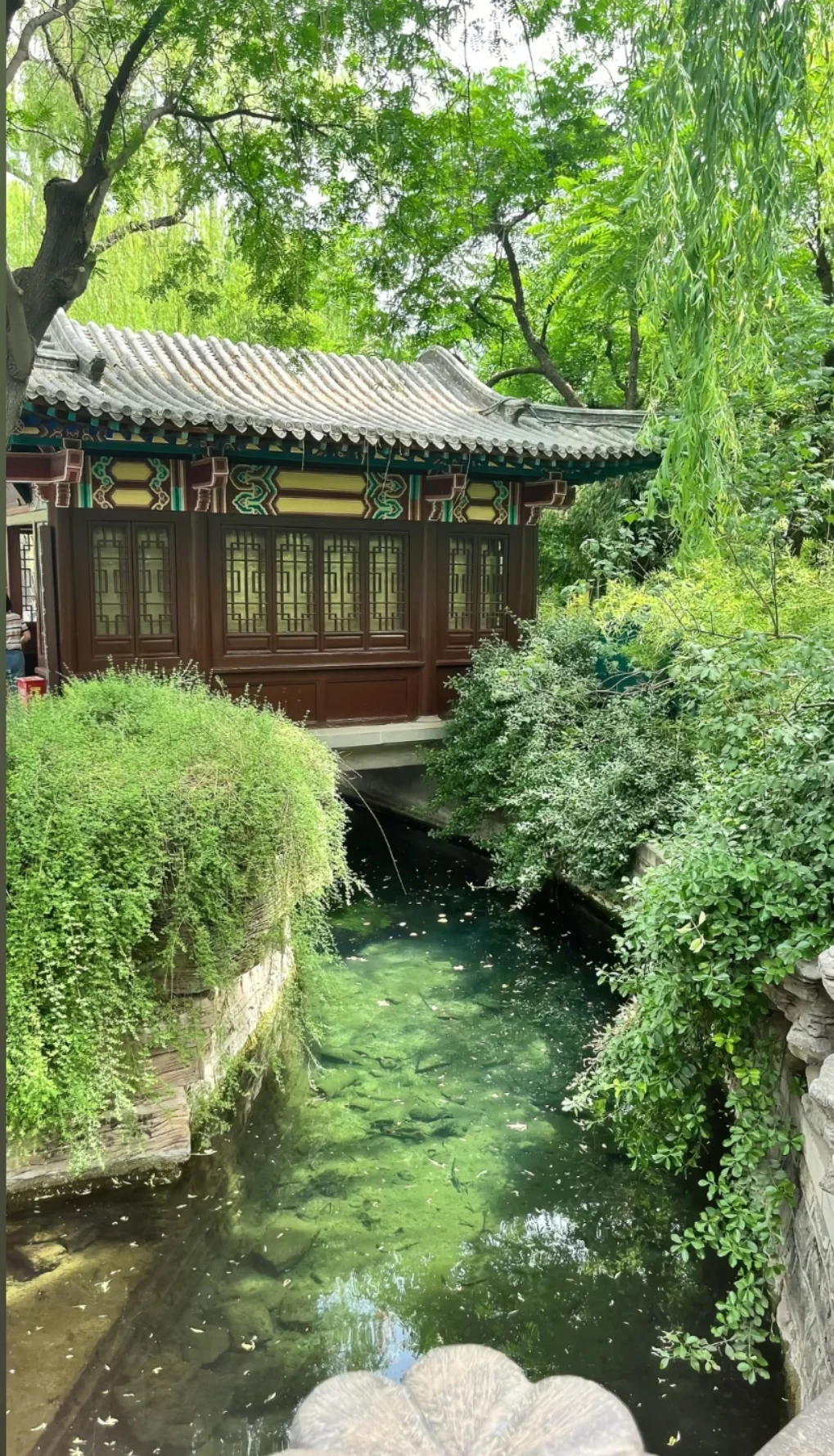 邯郸周边游之济南一日游，旅游攻略分享