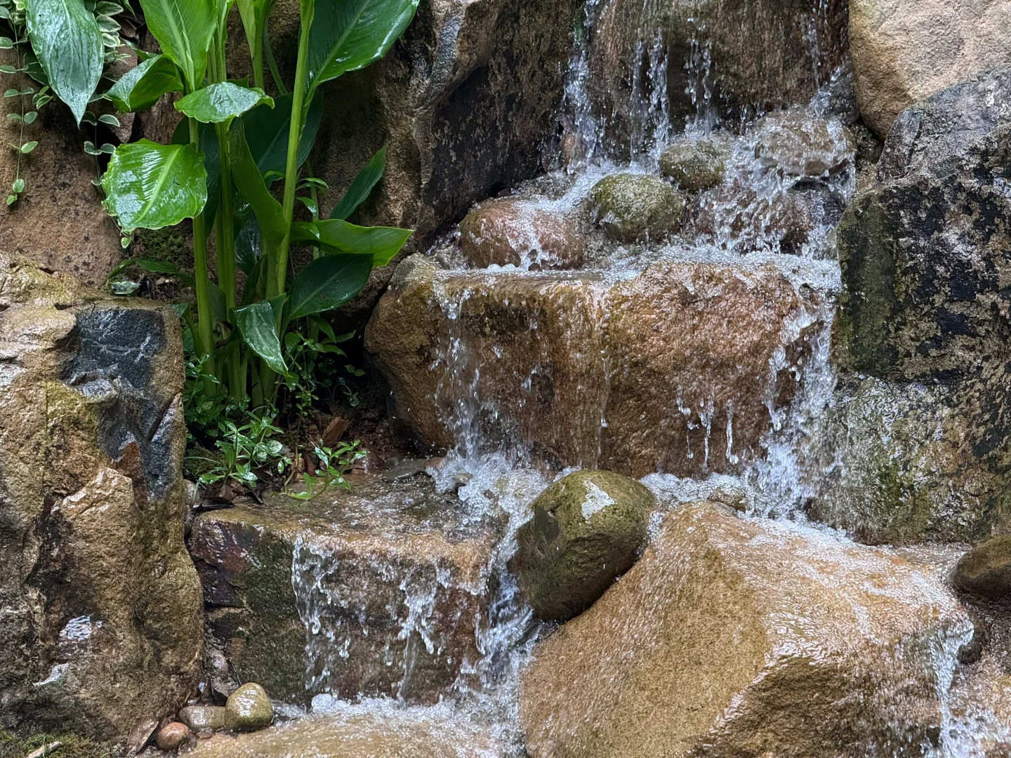 把这条推给所有千岛湖本地人