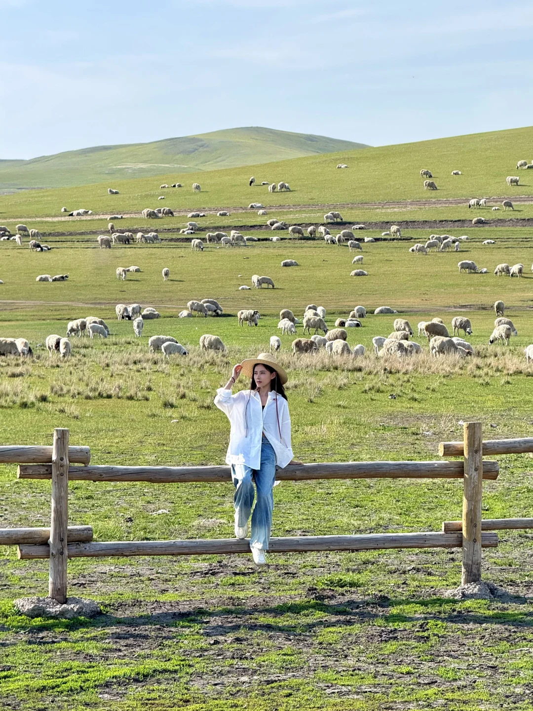 初夏的呼伦贝尔，美到失语！！！