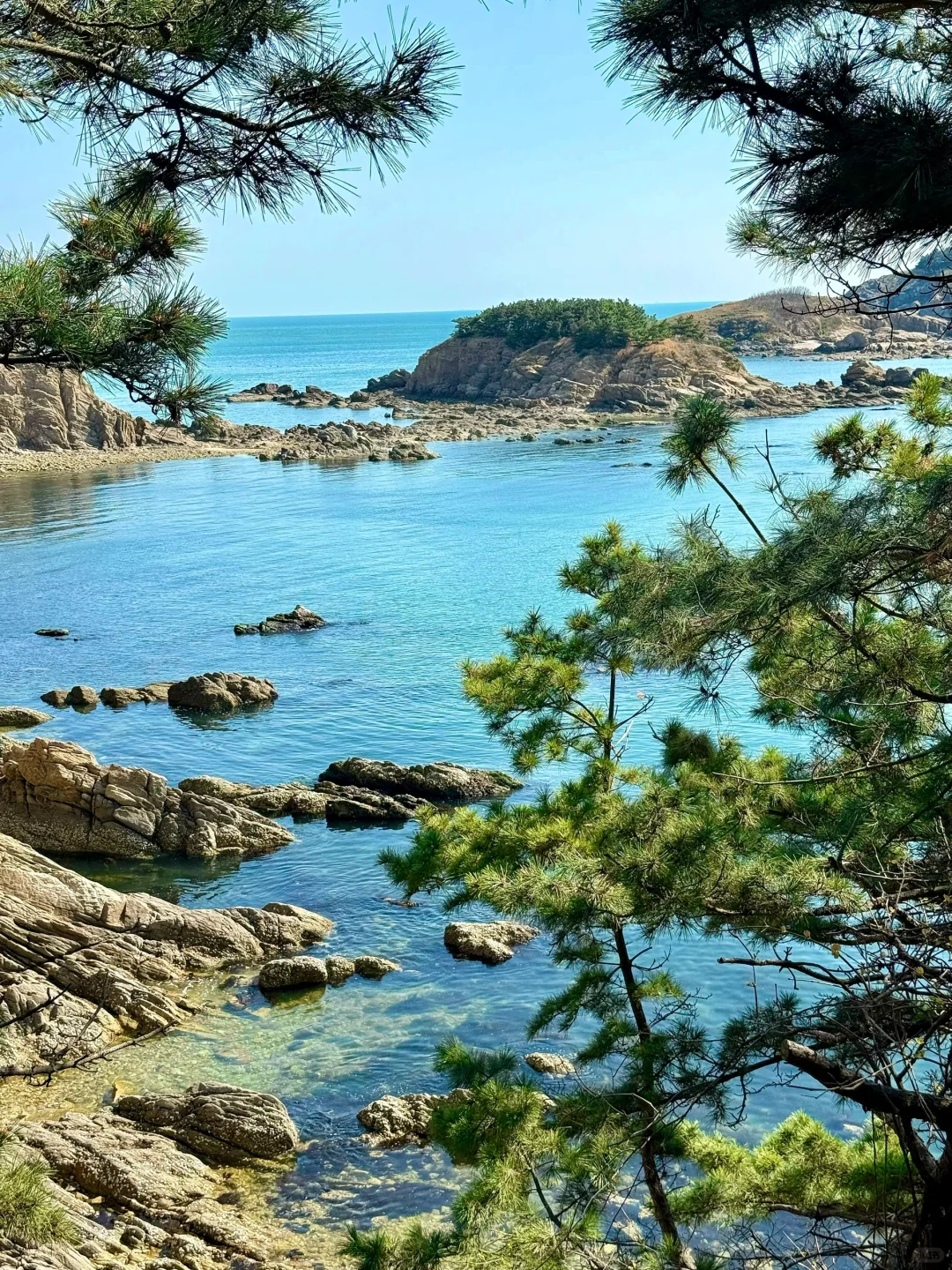 直接抄作业‼️威海旅行2日游保姆级攻略❗️