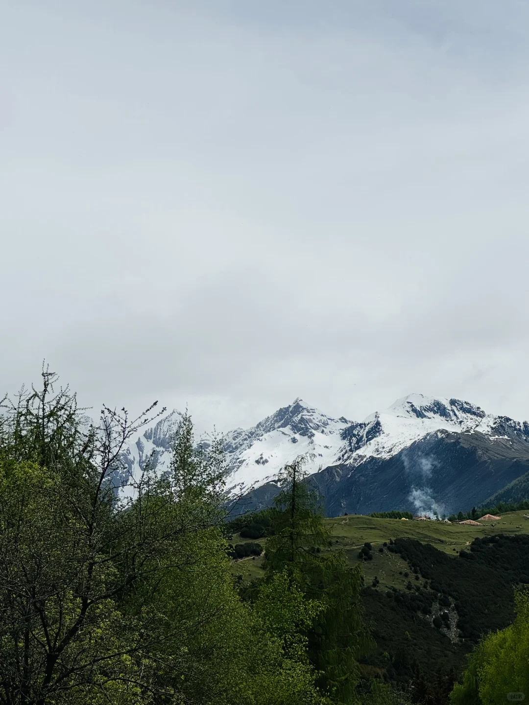 四姑娘山已回,这个季节太美了