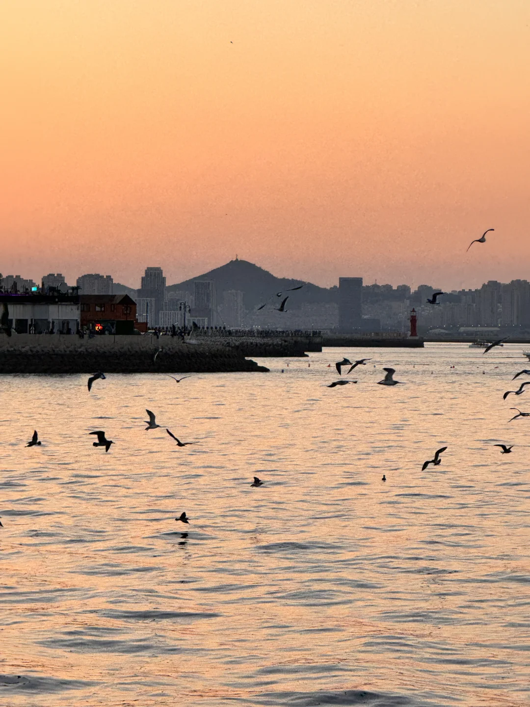 大连旅游！三天两夜（保姆级攻略）一定要看！！
