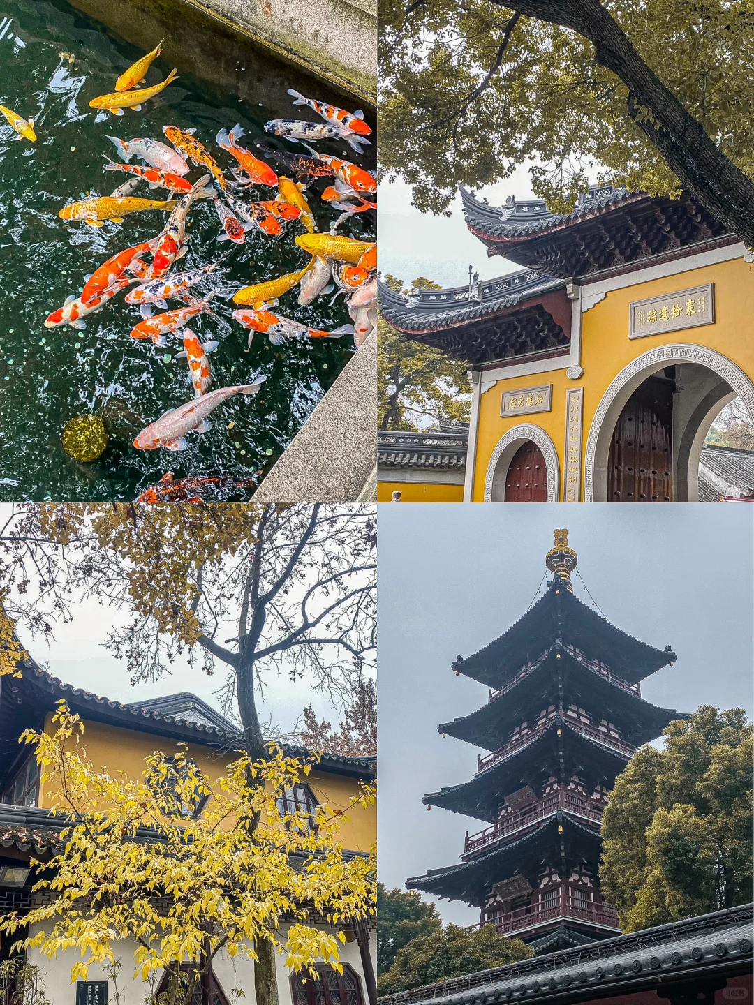 对我的端午节苏州攻略满意到睡不着觉……