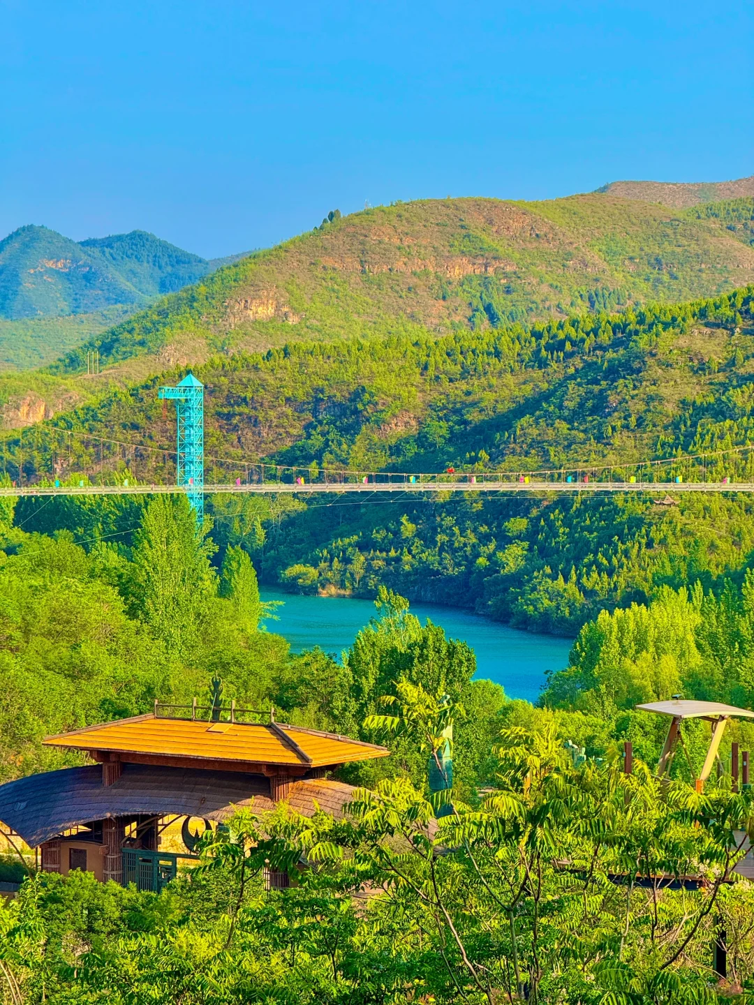 不在云南！在河南！发朋友圈被问爆了！！！