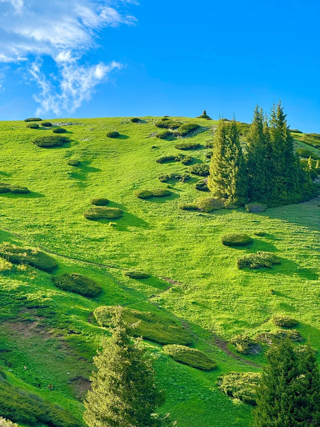 带闺蜜去了22℃的赛里木湖，真比新西兰震撼！