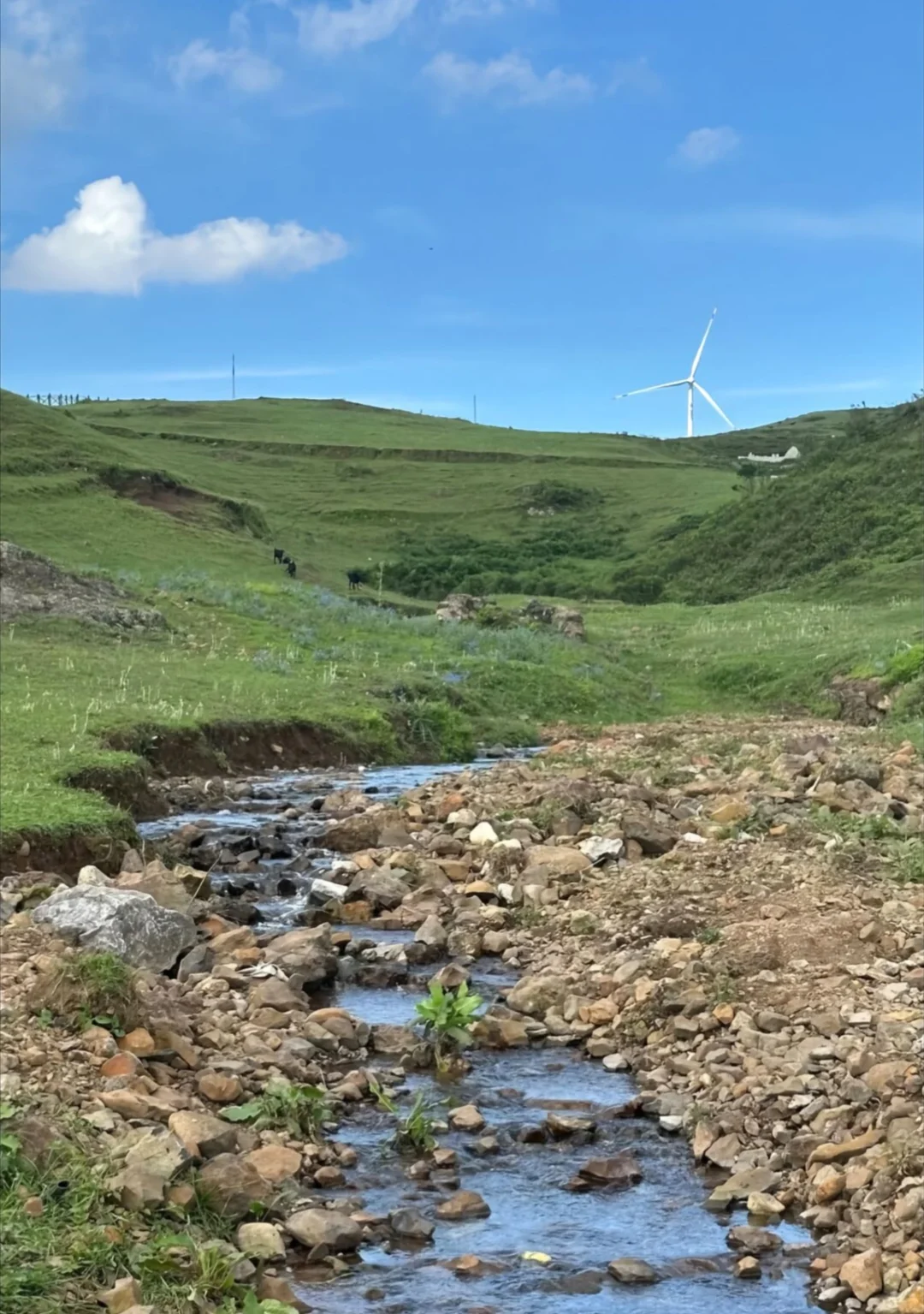 暑期逃离计划！！2h直达京北“小新疆”