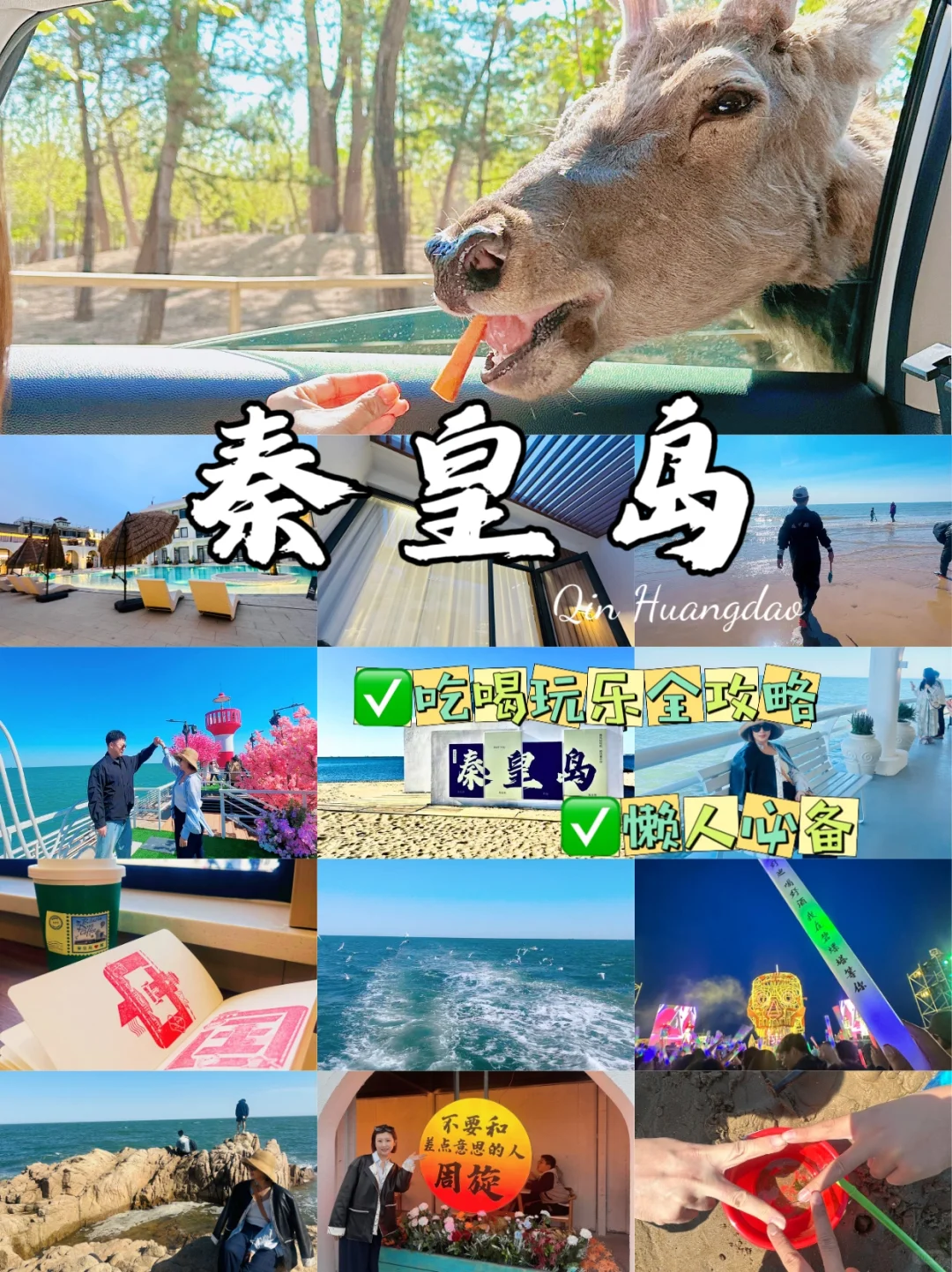 发朋友圈被问爆…真的不是济州岛