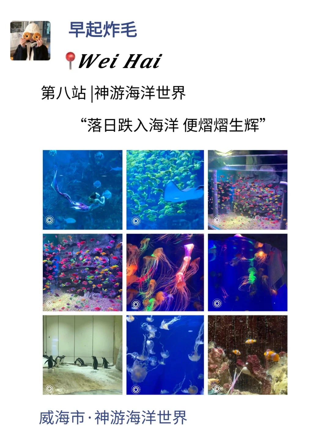 至于吗😓这姐去威海3天发了10条朋友圈