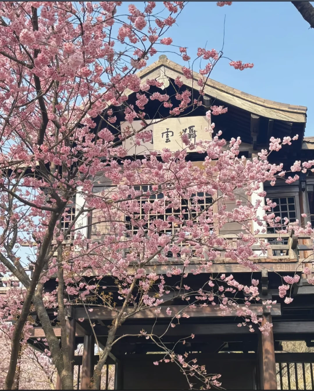 🔥🌍江南不止苏杭！无锡深度游全攻略