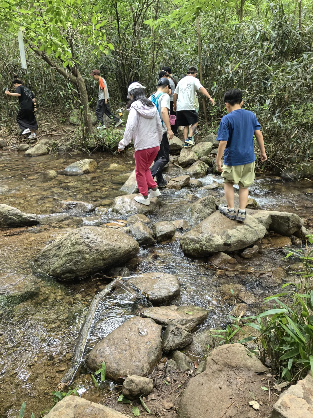 🍃宁波周末亲子徒步🌿第一站 福泉茶山